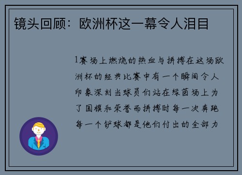 镜头回顾：欧洲杯这一幕令人泪目