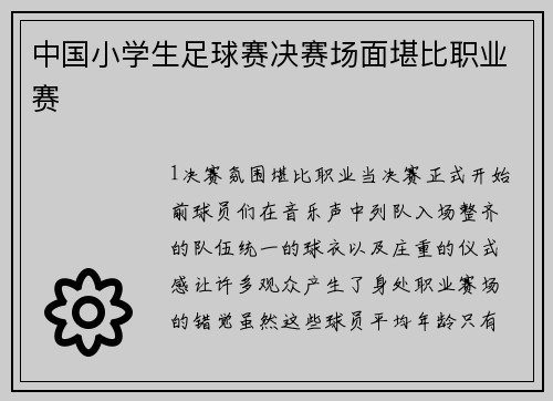 中国小学生足球赛决赛场面堪比职业赛